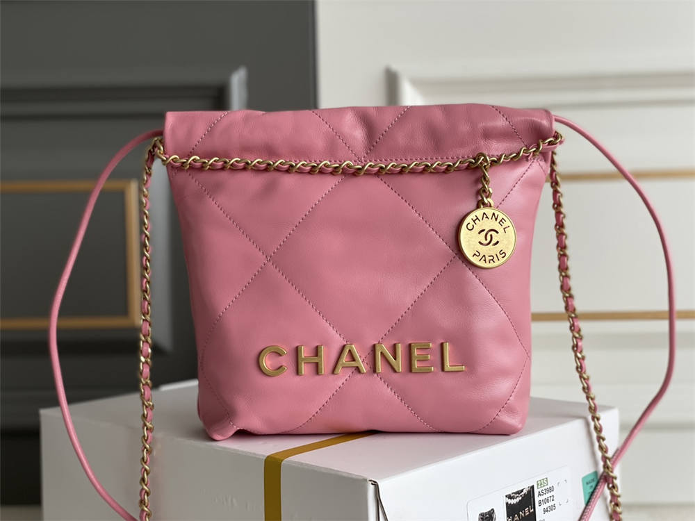 Chanel 22 min 20x19x6cm 2025 new 